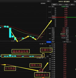 旭東廣電迎重大利好，馬云張近東攜手布局引爆計算機軟硬件開發(fā)新浪潮