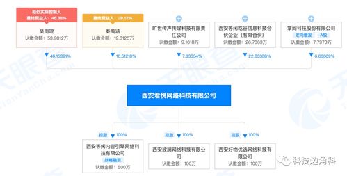 掌閱科技戰略入股西安君悅網絡 6.67%股權布局計算機軟硬件開發新賽道